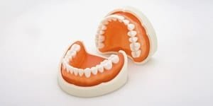 products_basic-study-models_equipment_02