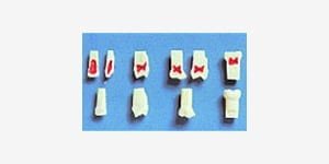 products_teeth-study-models_equipment_05 A12H-NK2 Milchzähne mit Pulpa (4 Stk.)