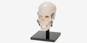 P10-SB20 Künstlicher Schädel UK, verstellbar